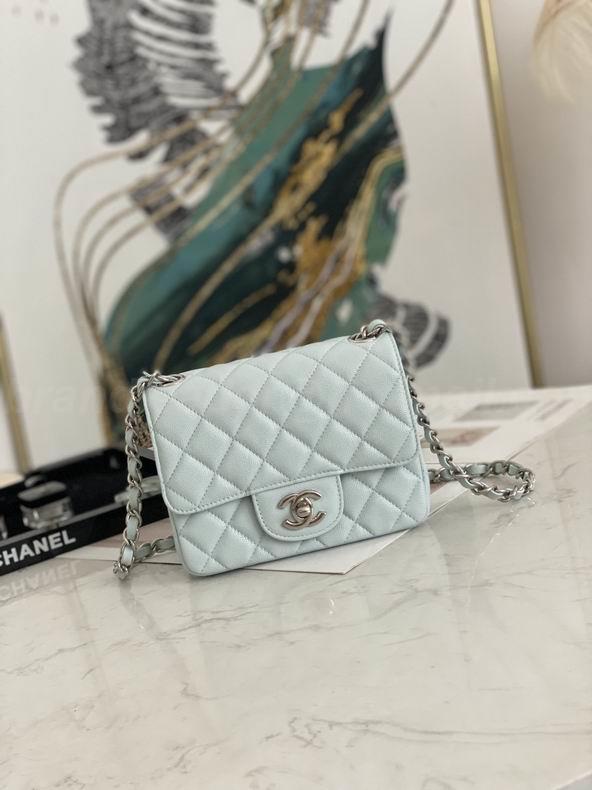 Chanel Handbags 313